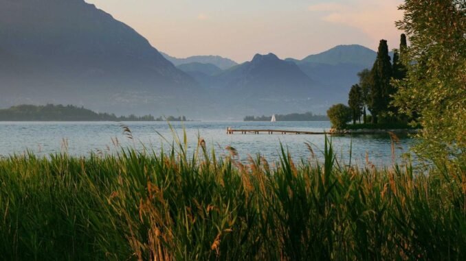 Creality Ender 3 V3 SE 3D-Drucker